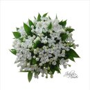 bouquet 이미지