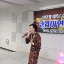 C0265 이미지