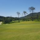 해운대비치 골프앤리조트 이미지