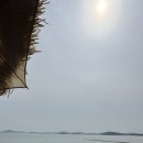 블레스오션카페 이미지