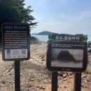 웅도둥둥바위펜션 이미지