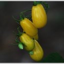 용산농장 이미지