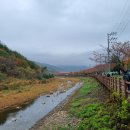 임원초등학교 | 해파랑길 29코스(임원항-용화레이바이크역)를 다녀오다.