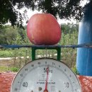 경천농원 이미지