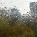 [관공서 행사] 파주시 청소년 재단 / 다과 케이터링