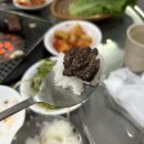 태백 한우 맛집 원조태성실비식당 육향이 가득한 현지인 추천 소고기집 웨이팅 정보