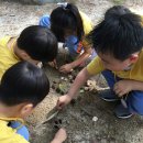 자연동산어린이집 이미지