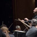 가메조네 이미지