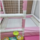 204 풀빌라 | &lt;가평풀빌라&gt; 204 키즈 풀빌라 펜션 후기!