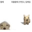 바라