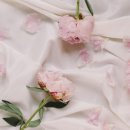 [연신내, 응암 심리상담센터] 후기를 통해 살펴보는 휴레스트에서의 경험