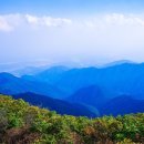 하늘아래정육점 이미지