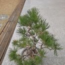 자연속에 둥지펜션 이미지