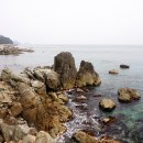 서07-401 Daum카페