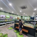 창녕우포곤충나라 이미지