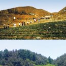대산임업 - 평창군 | 대산임업