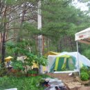 황토와 통나무 캠핑장 이미지