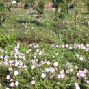 가야농장 이미지