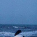 사운드플래닛