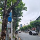 원대오거리 시장방향 이미지