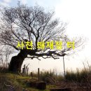 중선포천 | 이순신? 이순 장군! -사천 쾌재정 터
