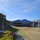 박정현농장 이미지