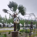 [번개후기]5월10일 전주정원산업박람회 이미지