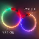꼴레트멍멍 | 꼴레트멍멍 강아지 LED 목걸이 추천｜야간산책 필수 강아지 야광목걸이 후기