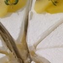 카페돌옷 이미지