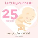 (주)디자인디미방 | NOV 2_임당 검사 한번에 통과