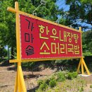 내장탕이백