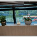 백운한의원 이미지