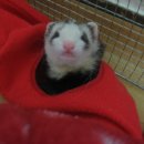 서초1동주민센터 이미지