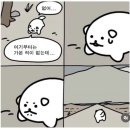 이가네주막 | 2024_10월의 두 번째 기록장 : 가을 실종 사건