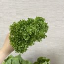 정진농장 이미지