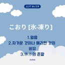 코오리 티스토리