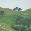 대가야박물관 이미지