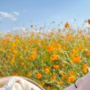 마위근린공원 이미지