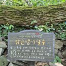 산막이옛길 | 충북 괴산 가볼만한 곳 - 산막이 옛길, 유람선 시간, 유람선 타는 곳