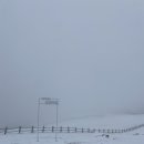 바우목장 이미지