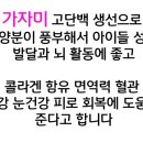 태흥수산 티스토리