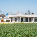 명월일기 이미지