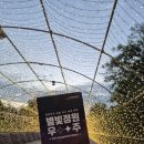 경기도 이천 가볼만한곳 별빛정원우주 야경 할인 후기