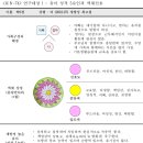색채