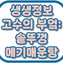 명인석갈비 | 생생정보 고수의 부엌: 솥뚜껑 메기매운탕 햇님과달님 세종 맛집