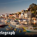 LOVELY DAY'S GROOMING 이미지