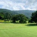 WI-GOLF 스포츠서울