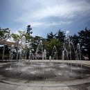 은파호수공원 Daum카페