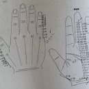 수지약국 이미지