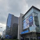 파란기획 | [서울/전시 후기] 내셔널지오그래픽 특별기획 <OCEAN 가장 거대한 기록> 솔직 후기! 파란 바닷속 XR...